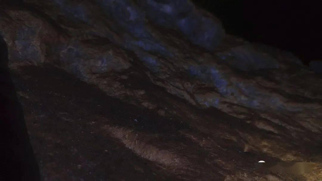 hahabetcom官网星辰大海