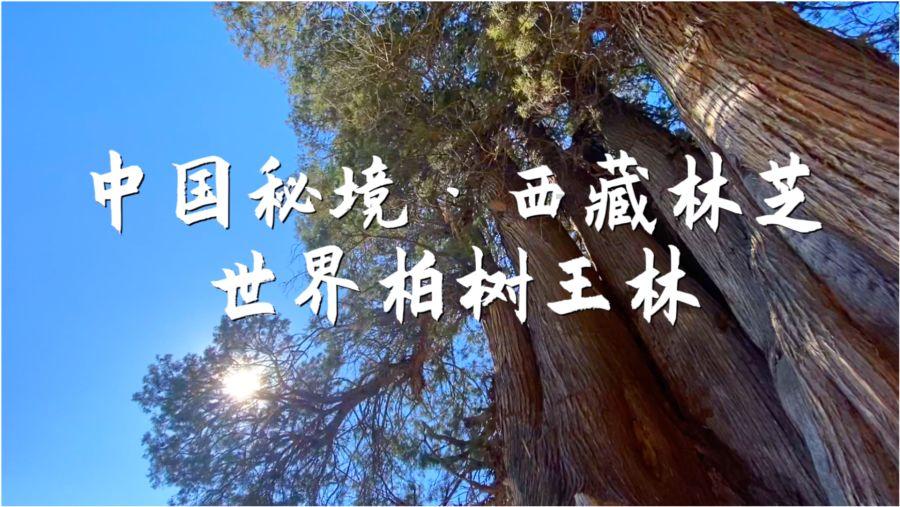 孩子在家庭生活中出现一些问题,应该如何应对? – 专业问答网站,精准解答你的问题